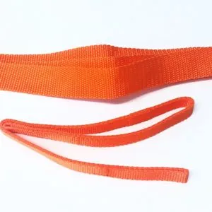Replacement Waist Belt & Leash Set